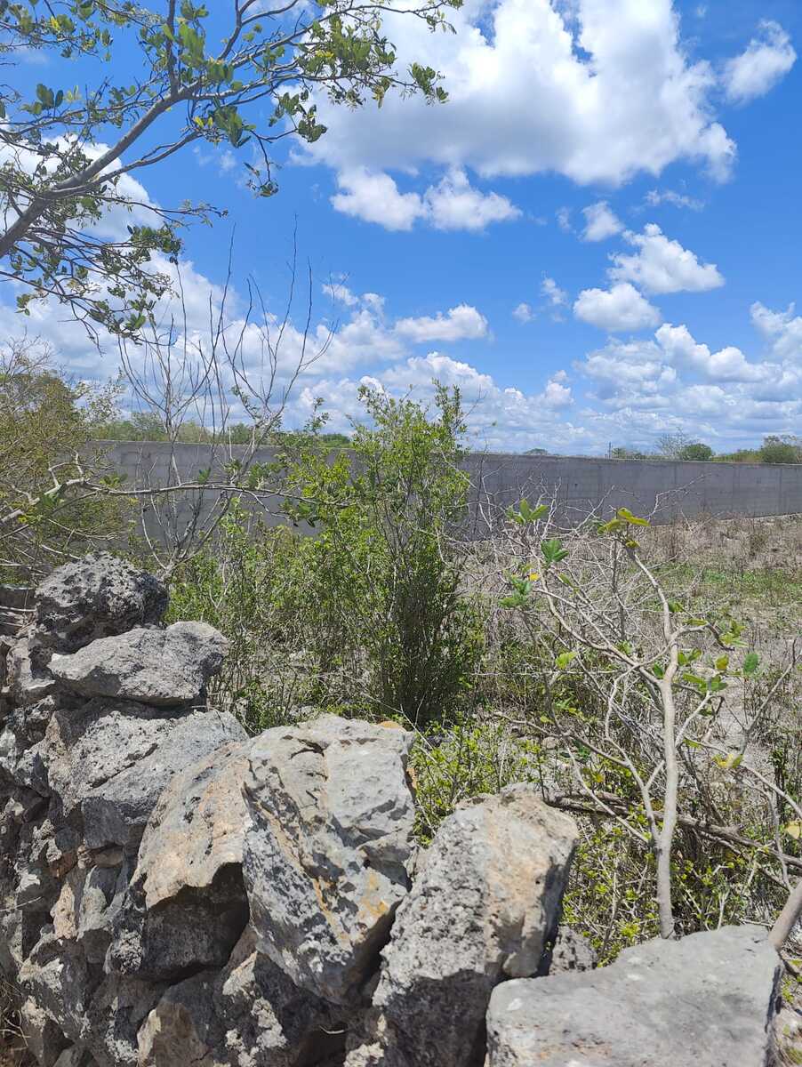15 de 17