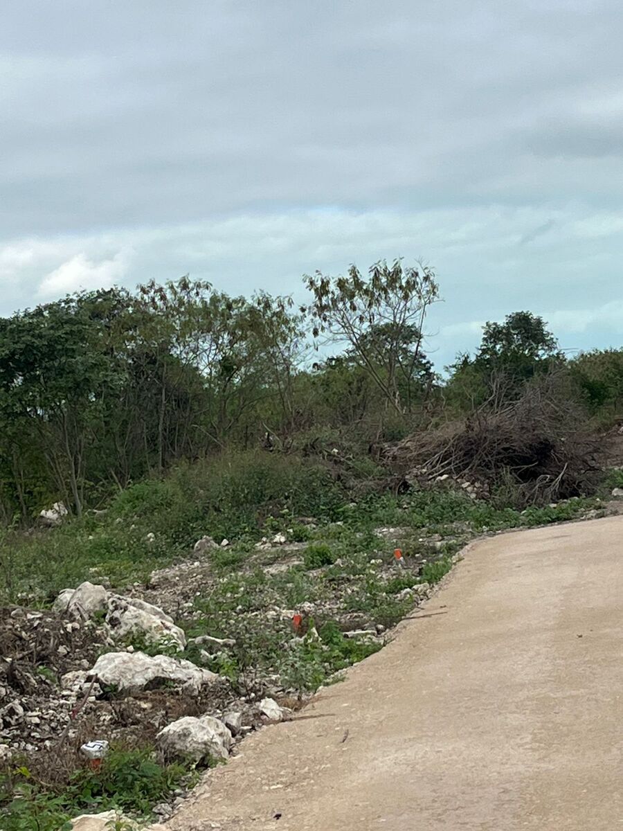 11 de 30