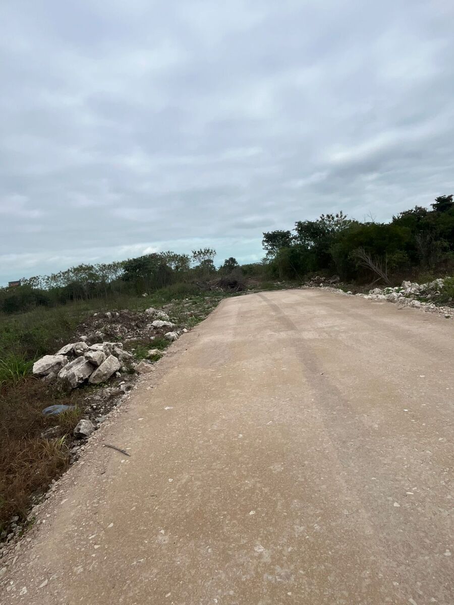 13 de 30