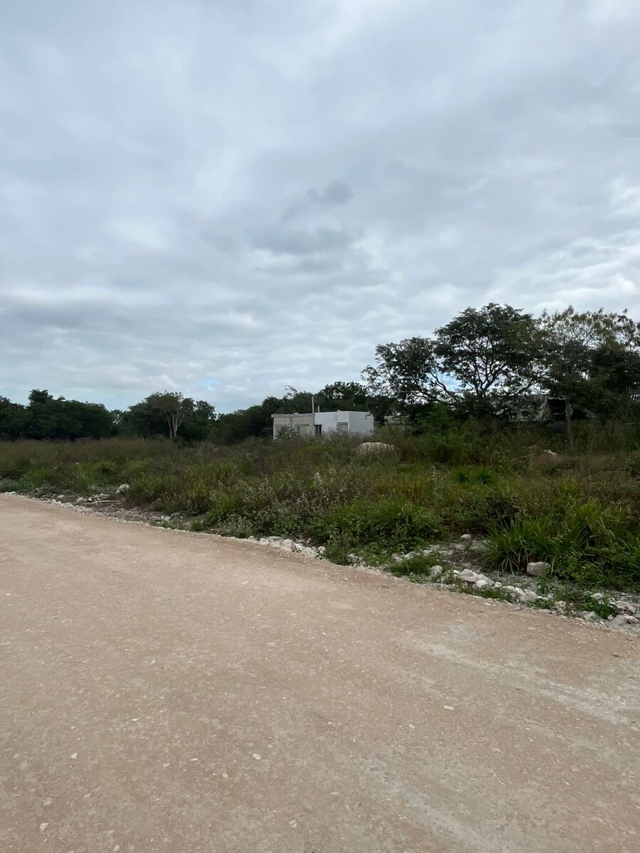 14 de 30