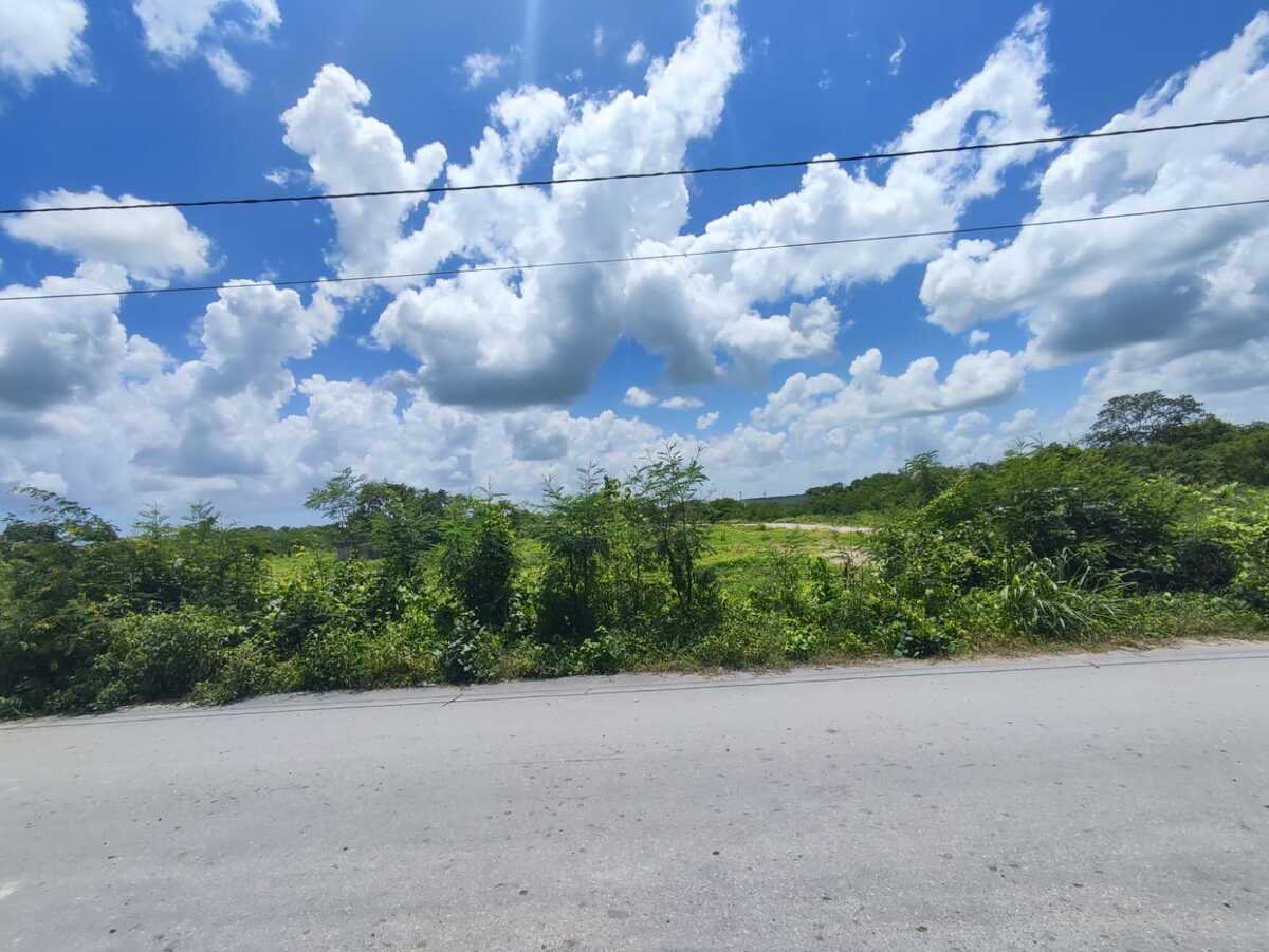 23 de 30
