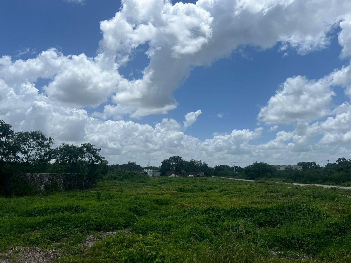 29 de 30