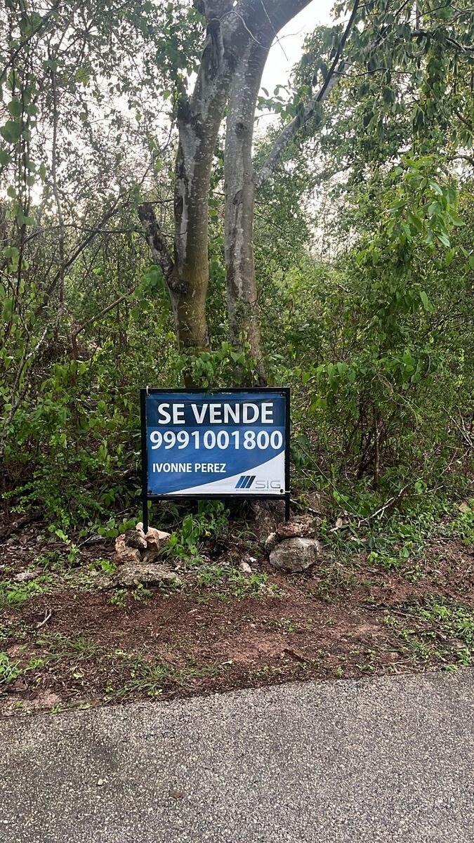 5 de 5