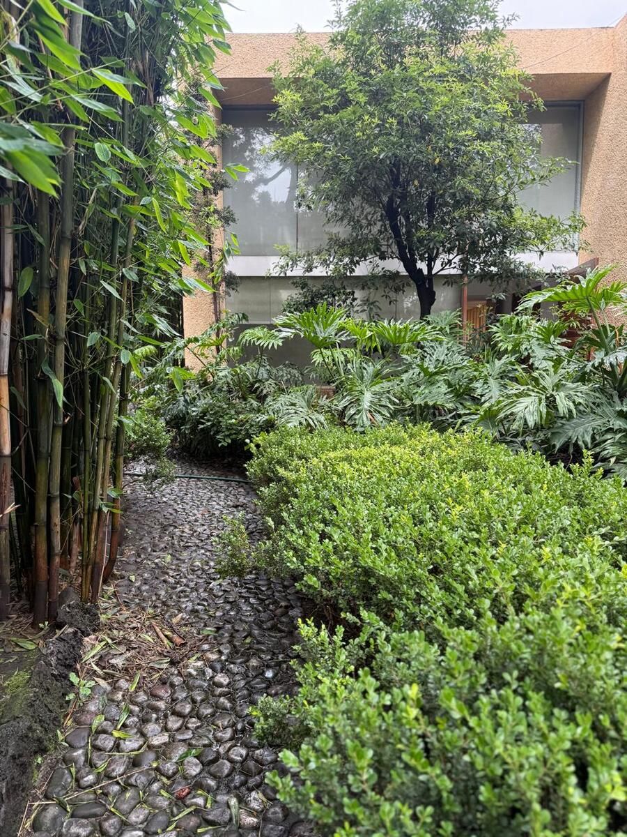 Se vende residencia en lugar histórico de la CDMX TLALPAN CENTRO. - foto 5