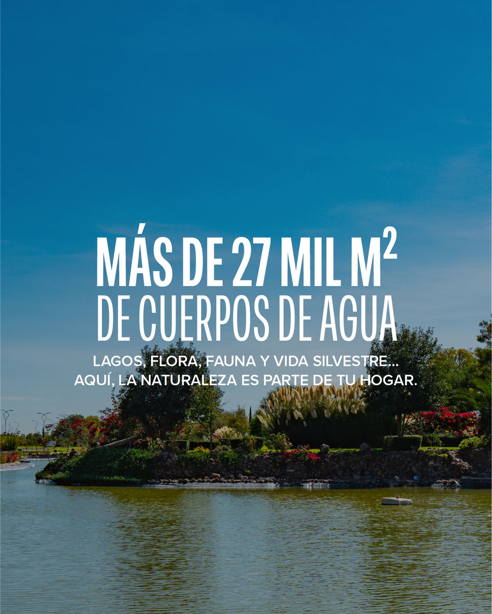 5 de 18