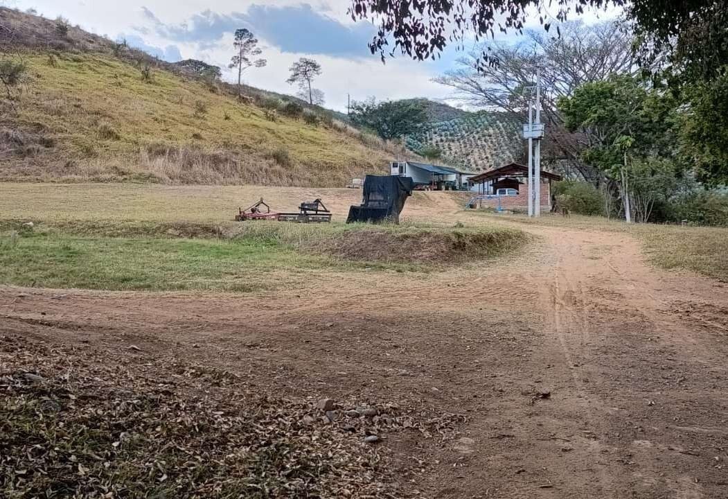 2 de 24