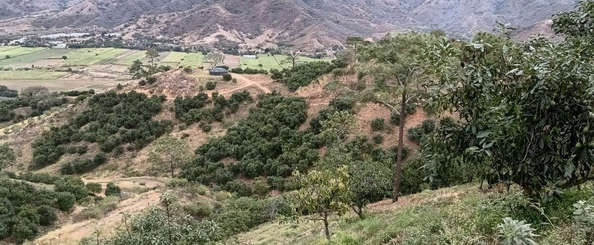 3 de 24