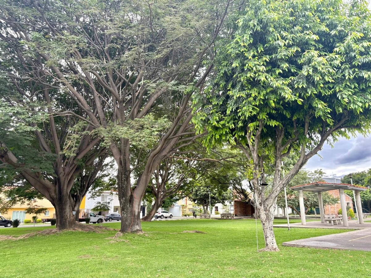 23 de 25
