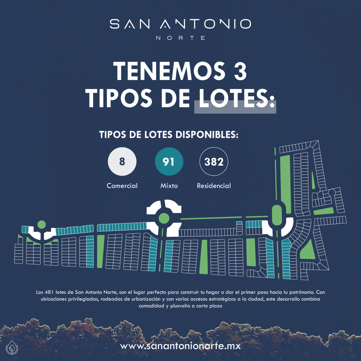 3 de 6