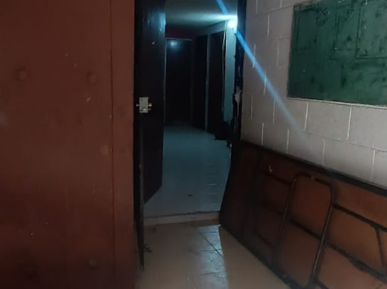 4 de 11