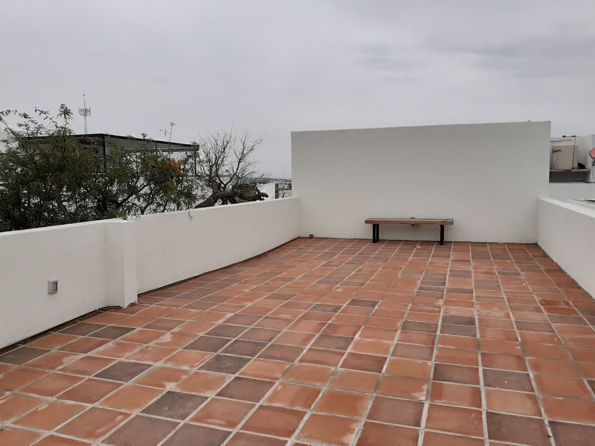 31 de 39