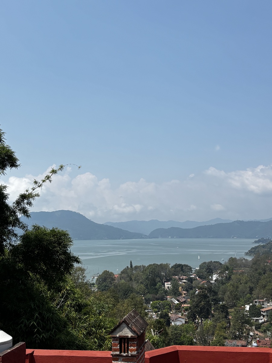 16 of 17: Vista desde el jardín