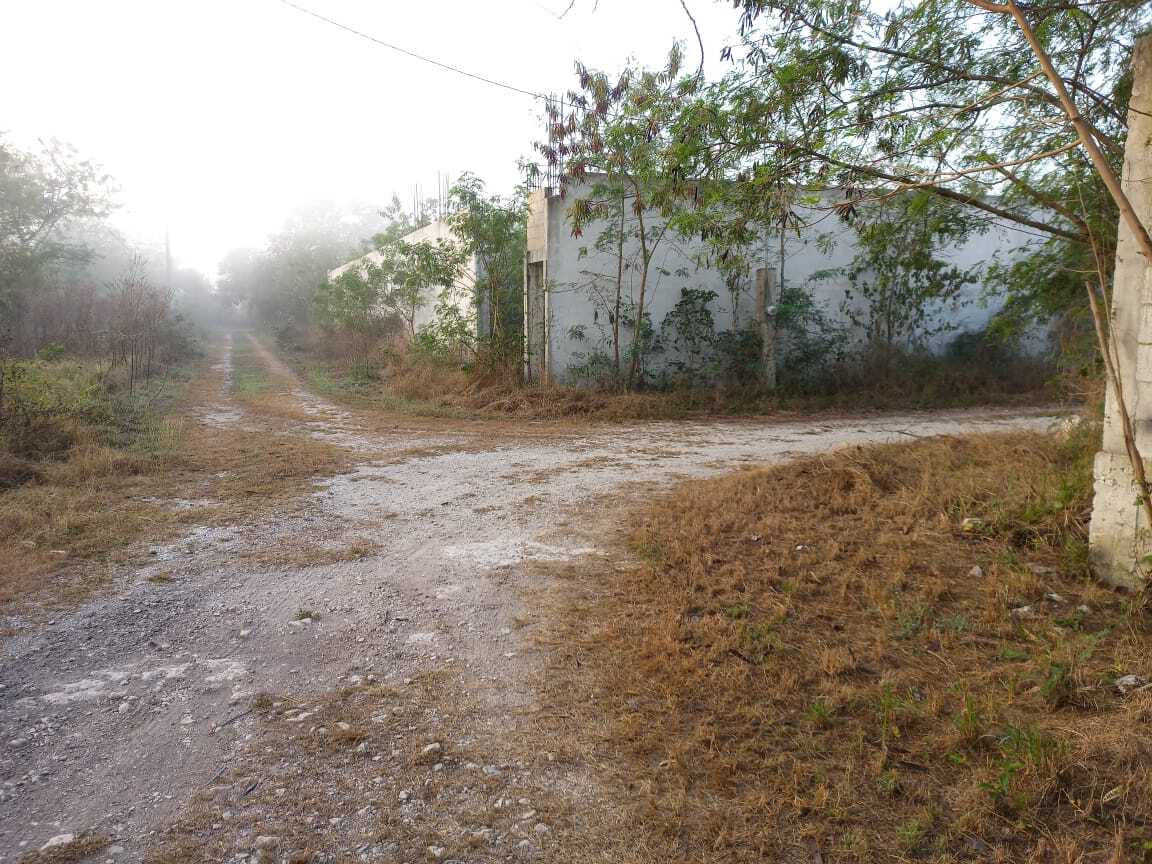 2 de 5
