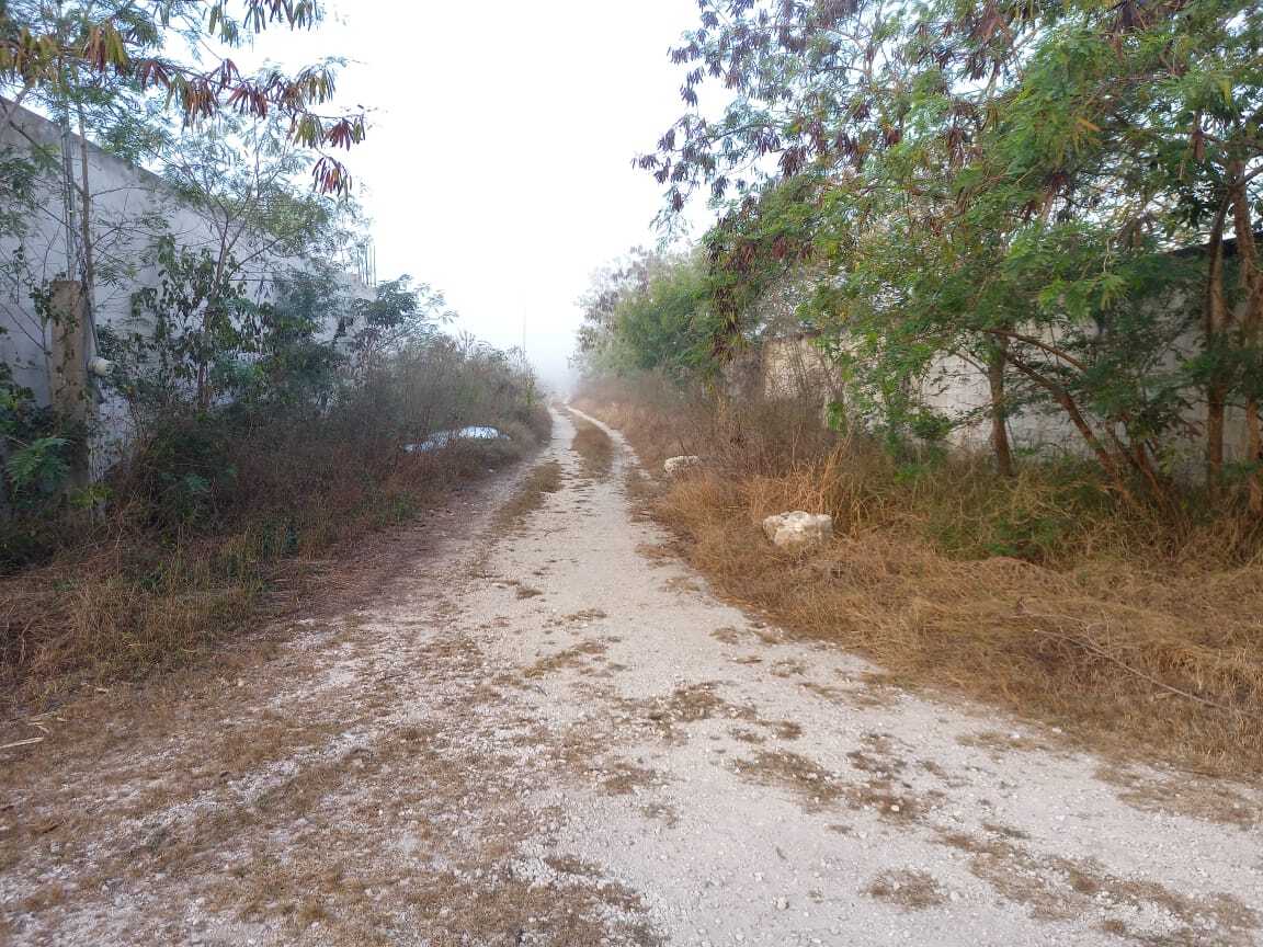 3 de 5