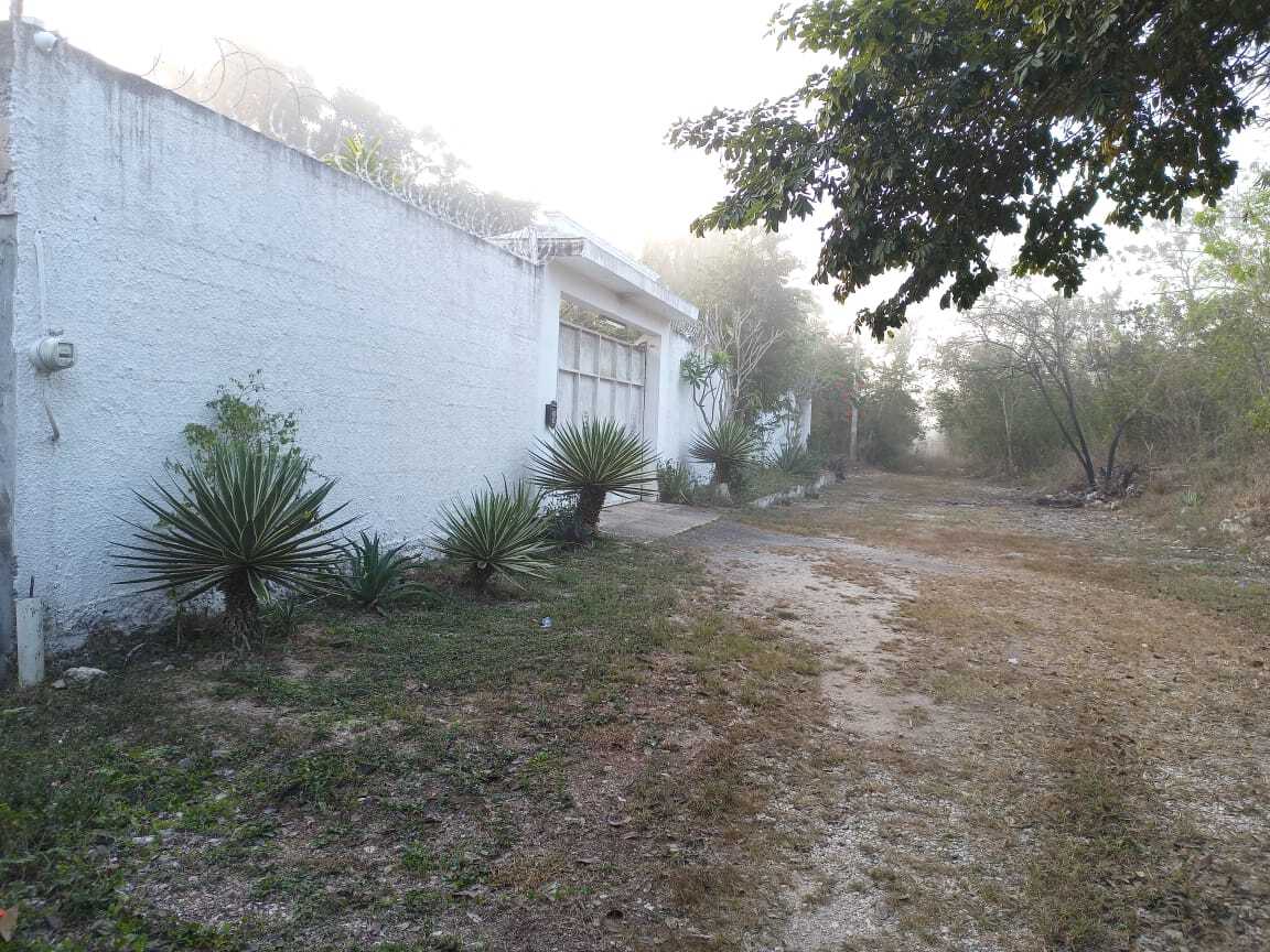 4 de 5