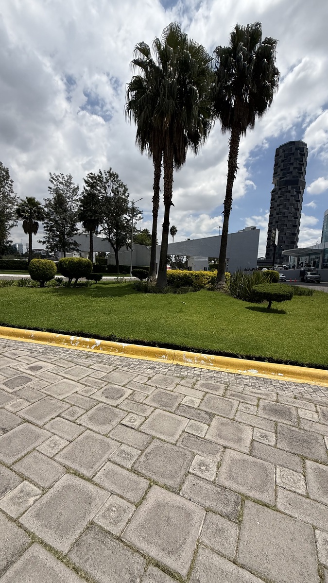 2 de 22