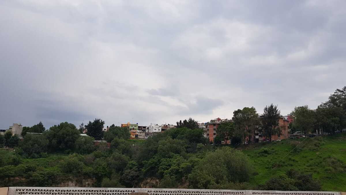 31 de 37