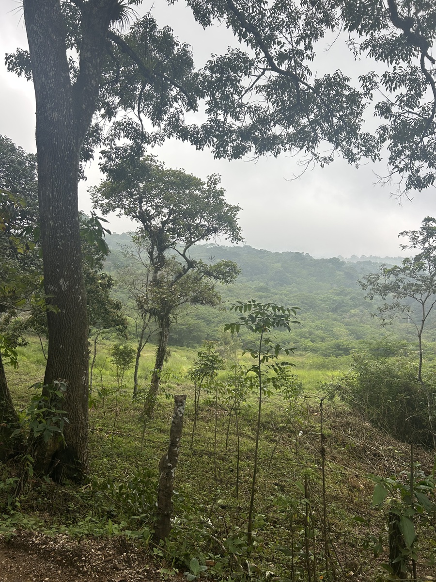 3 de 18