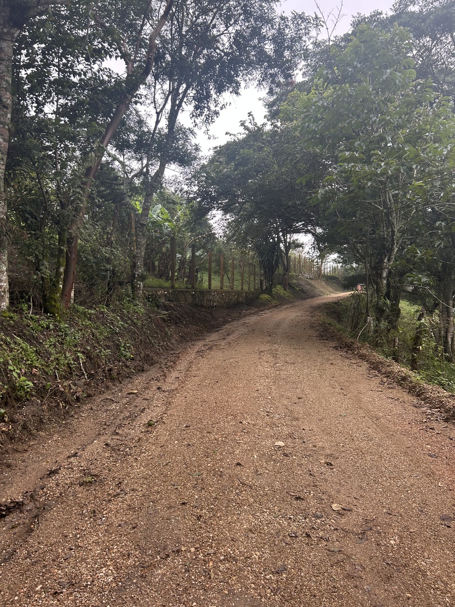 14 de 18