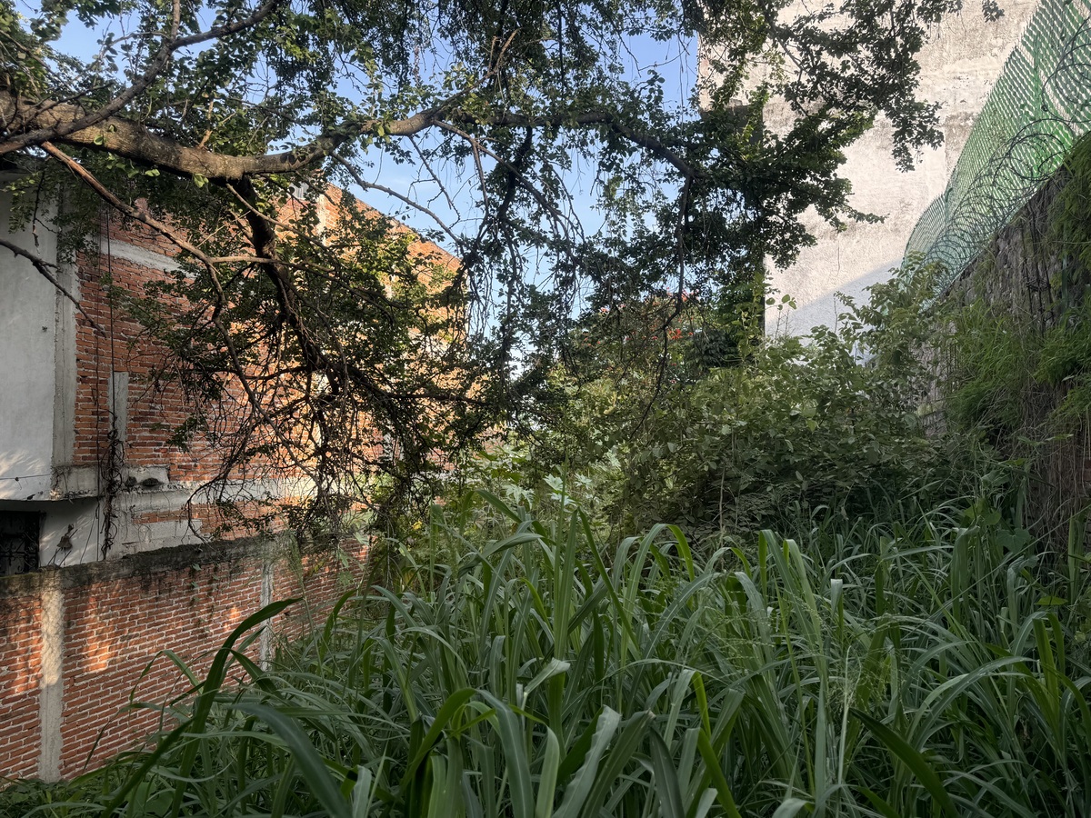 1 of 4