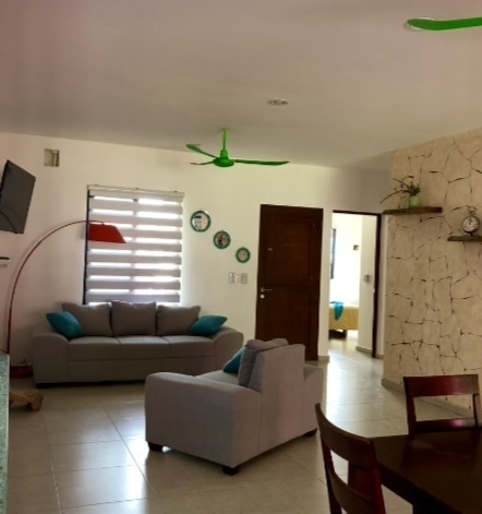 15 de 50