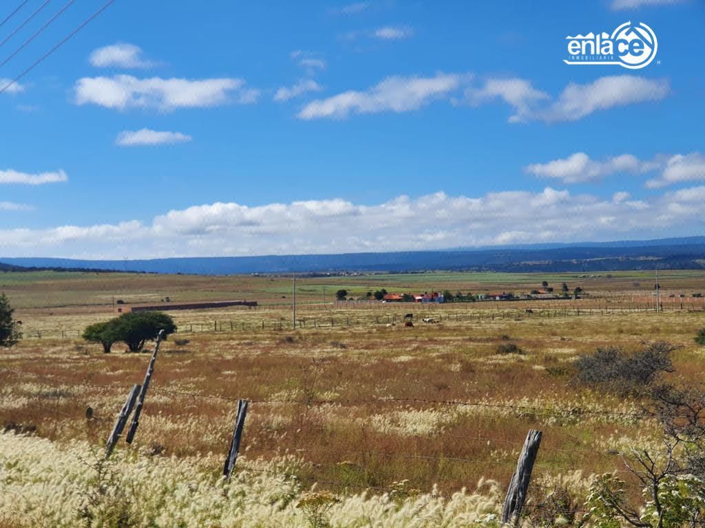 Terreno en quintas del pino