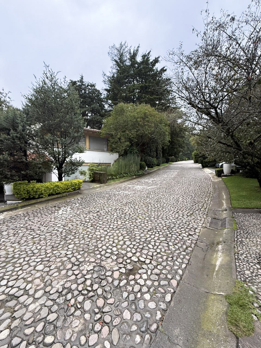 4 of 50: CALLE