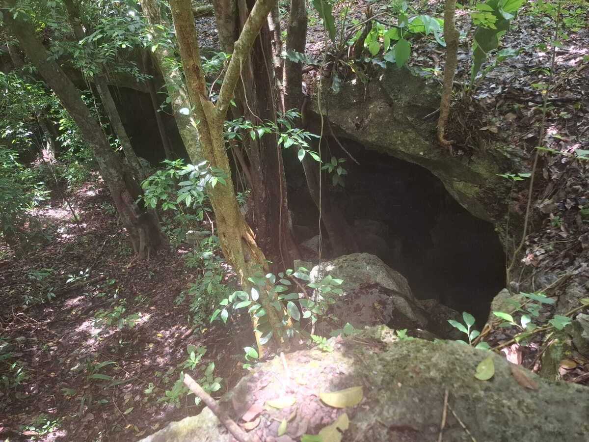 4 de 27