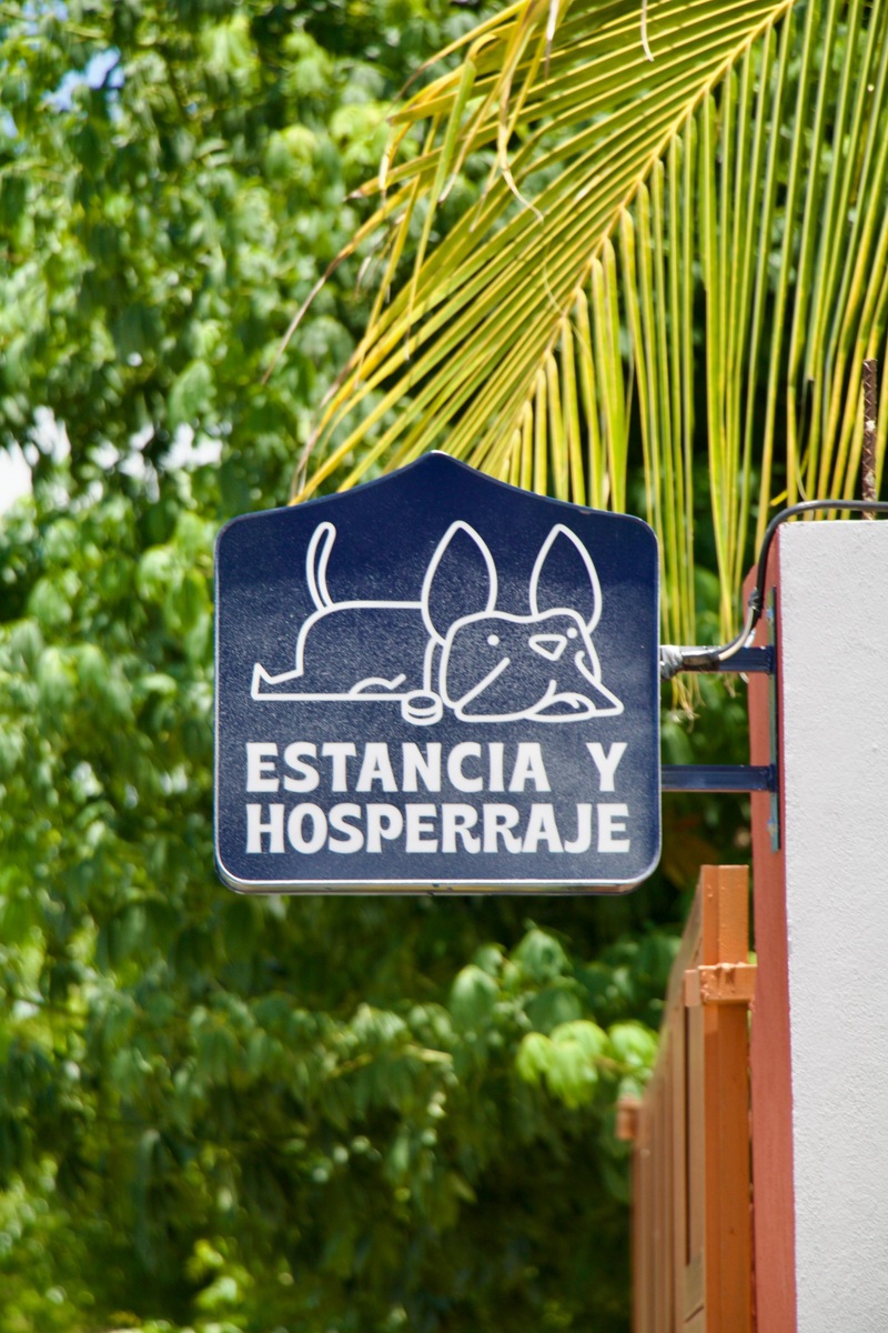 2 de 24