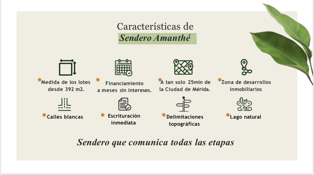 5 de 7