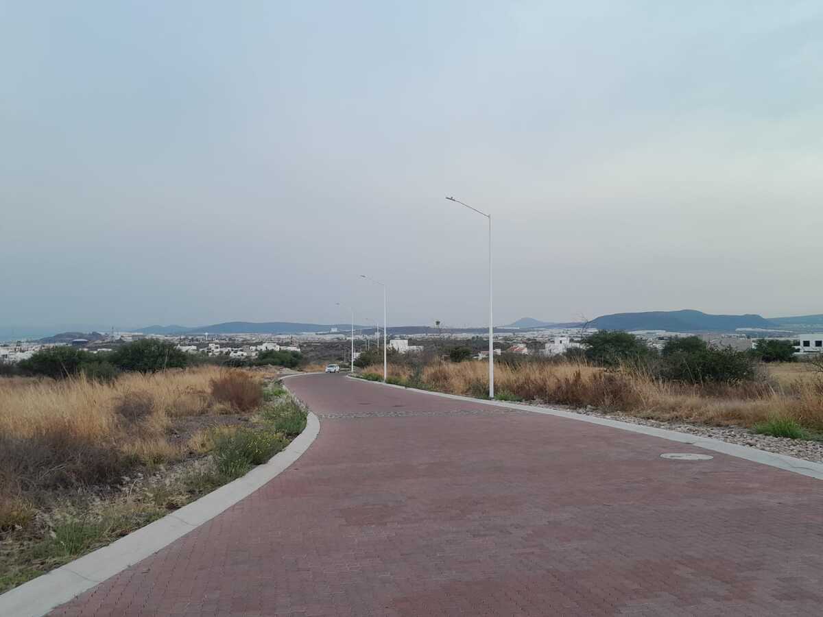 5 de 14