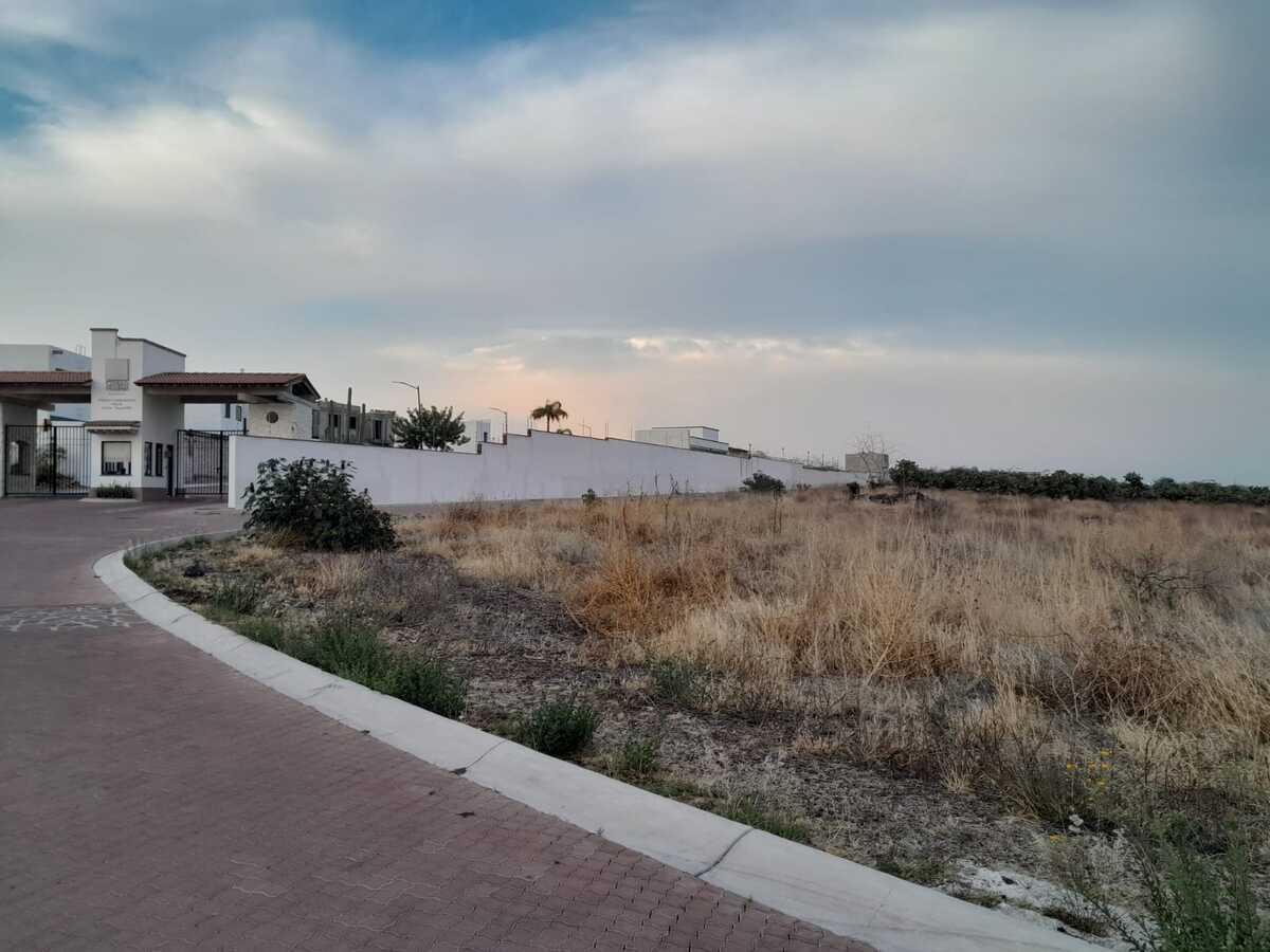 6 de 14