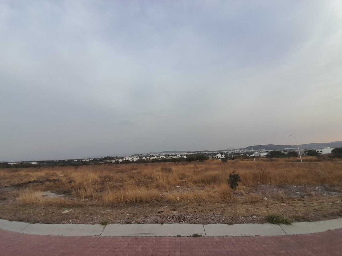 11 de 14