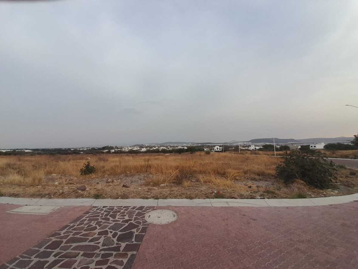 13 de 14