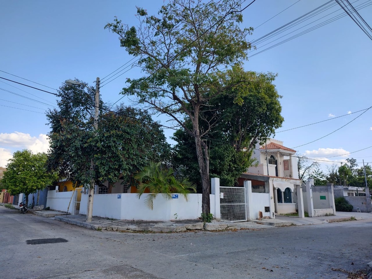 3 de 11