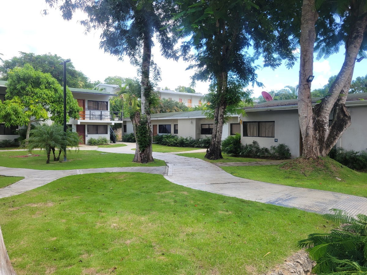 16 de 17