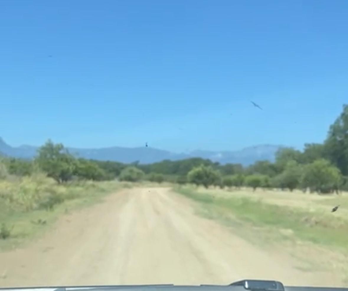 2 de 10