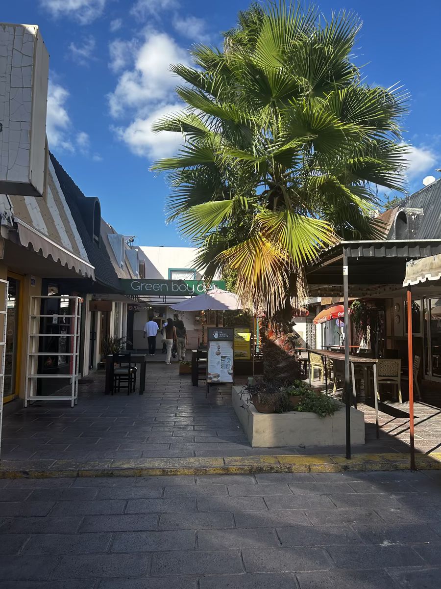 5 de 10