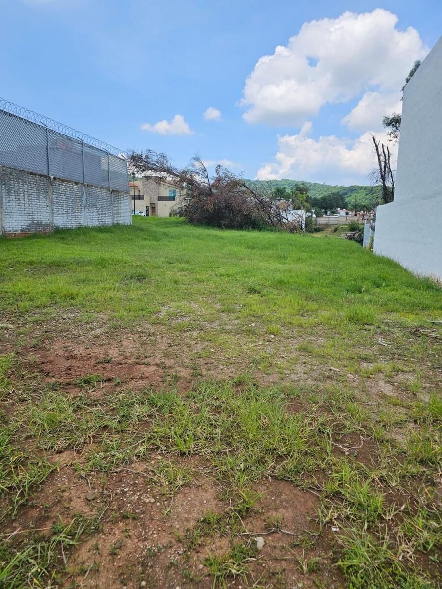 TERRENO EN VENTA EN COLINAS DE SANTA ANITA - foto 2