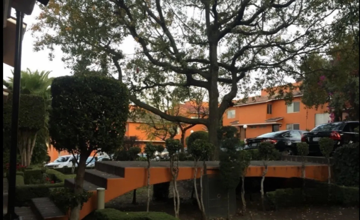 2 de 26