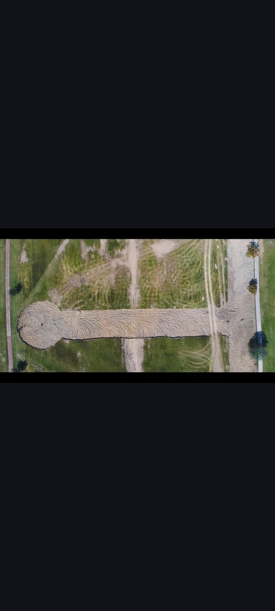8 de 8