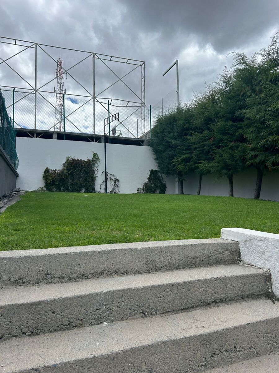 19 de 23