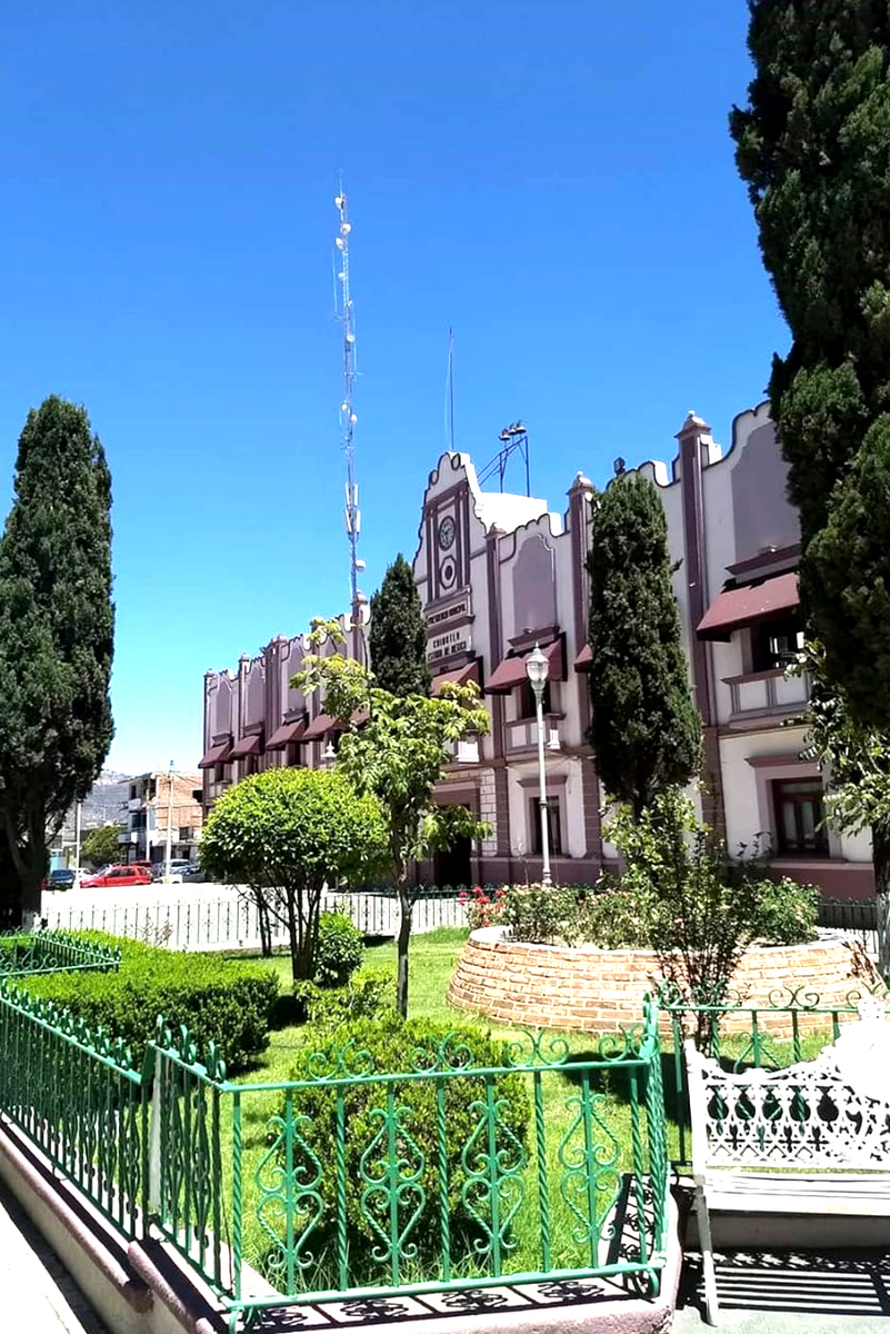 3 de 6