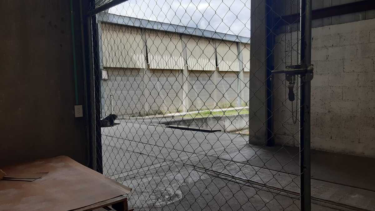 3 de 3