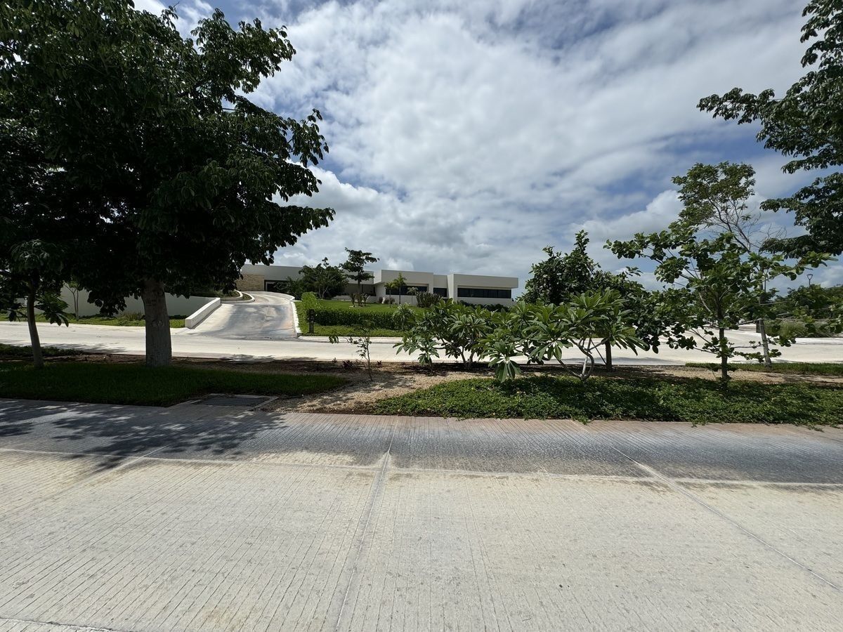 5 de 8