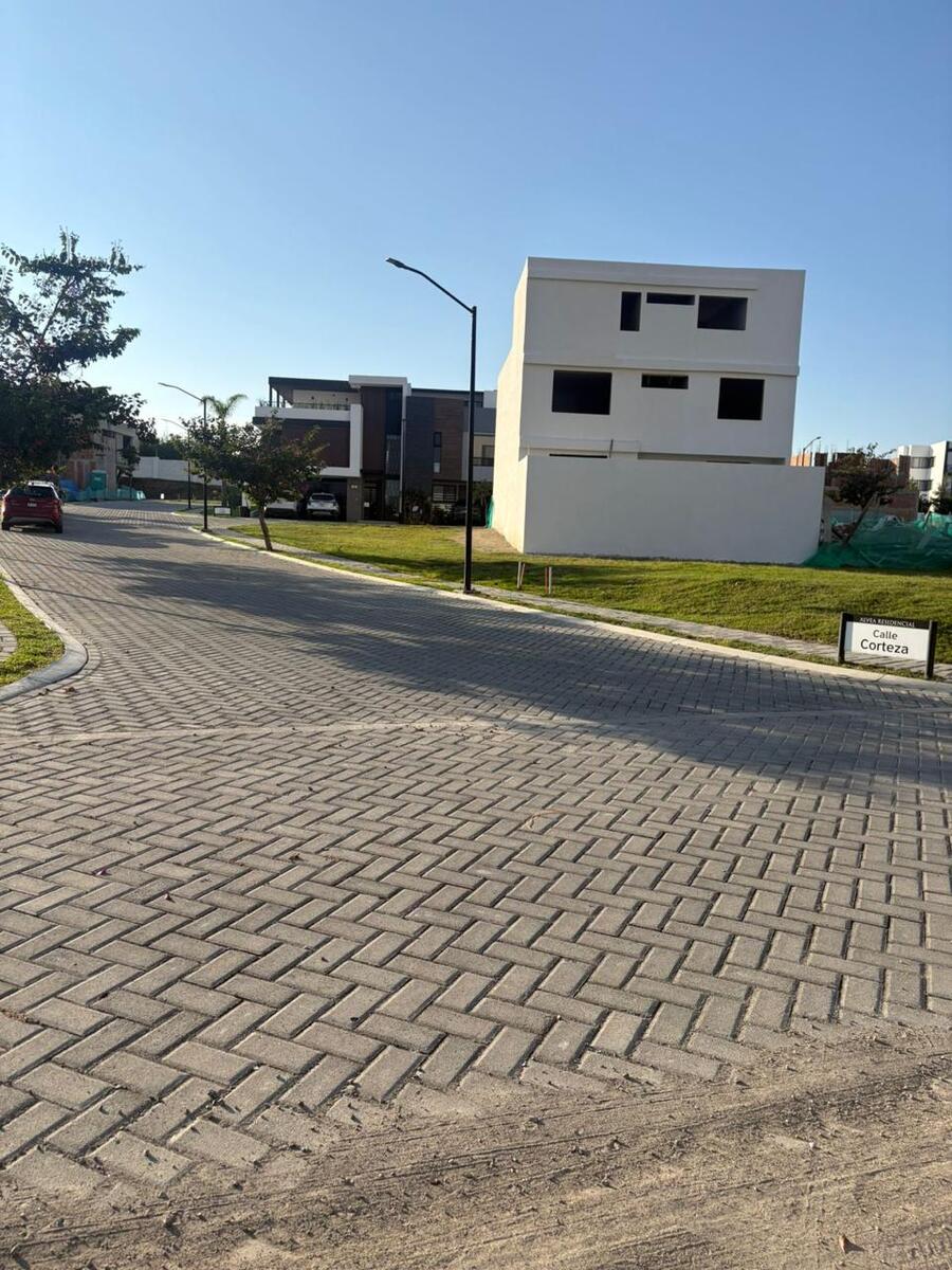 5 de 7