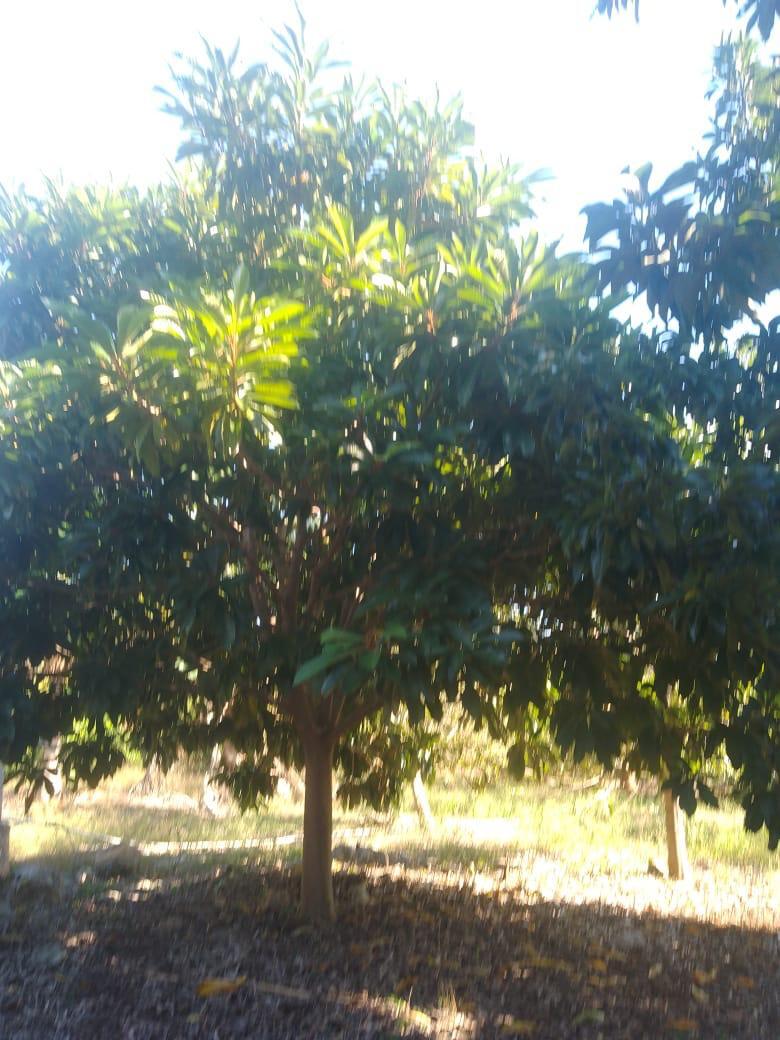 1 de 20