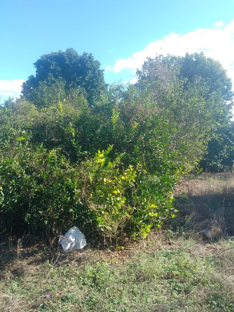 3 de 20