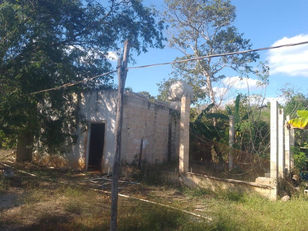 5 de 20