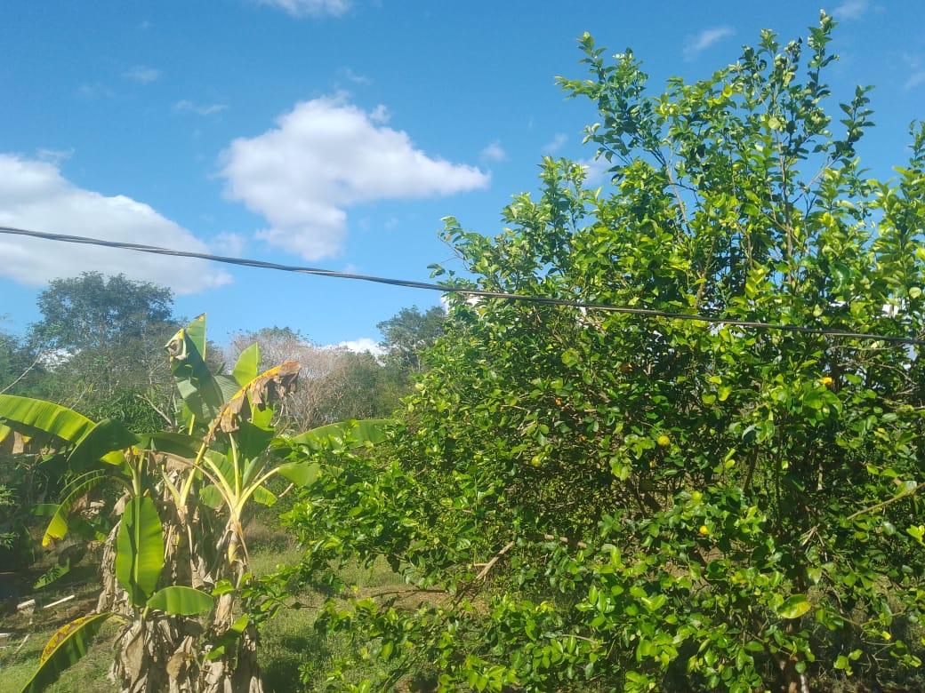 8 de 20
